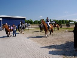 _DSC9228-637